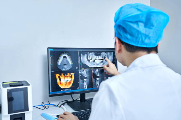 Best Emergency X-Rays and Diagnostics in Soh Weber, UT